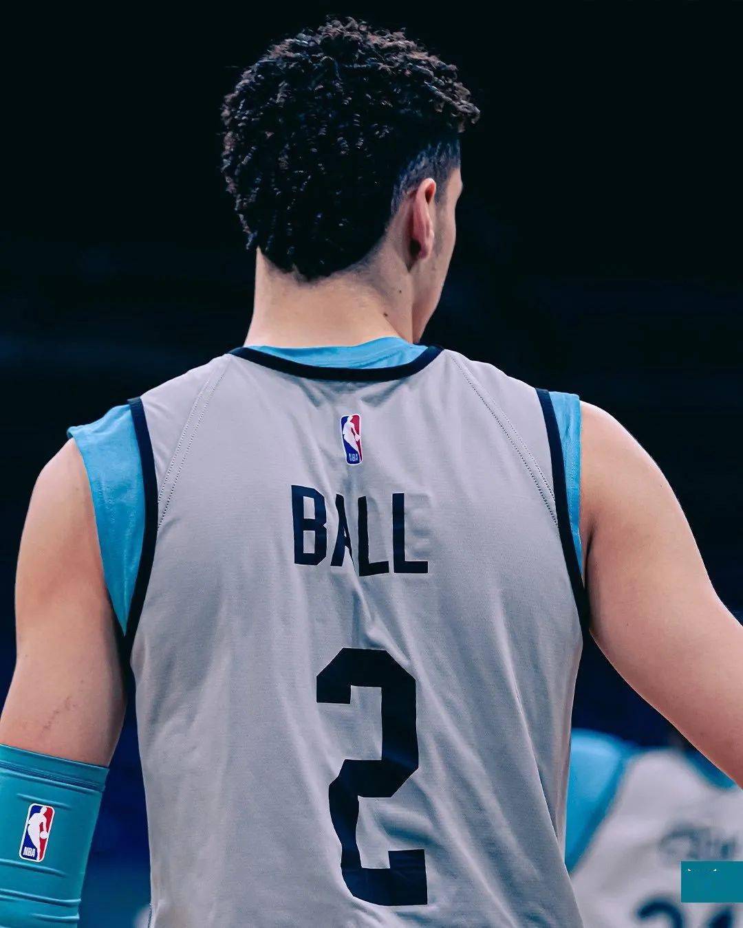 宠物不仅是 宠物不仅是