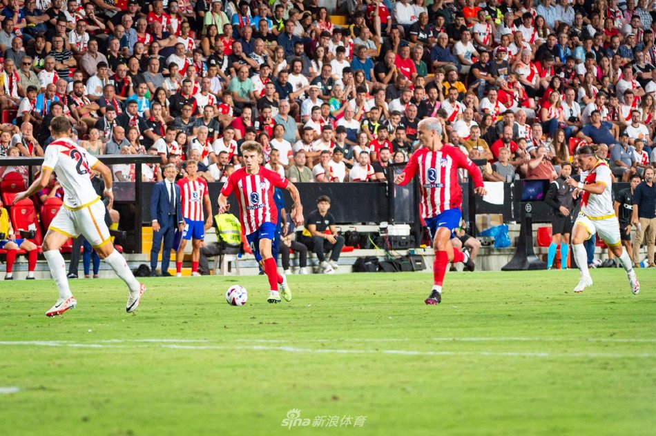 这一战略调 这一战略调